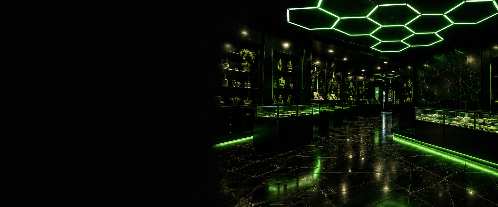 Inside Higher Frequency's Nob Hill cannabis dispensary in Albuquerque
